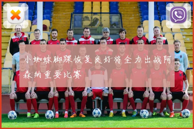 小蜘蛛脚踝恢复良好将全力出战阿森纳重要比赛