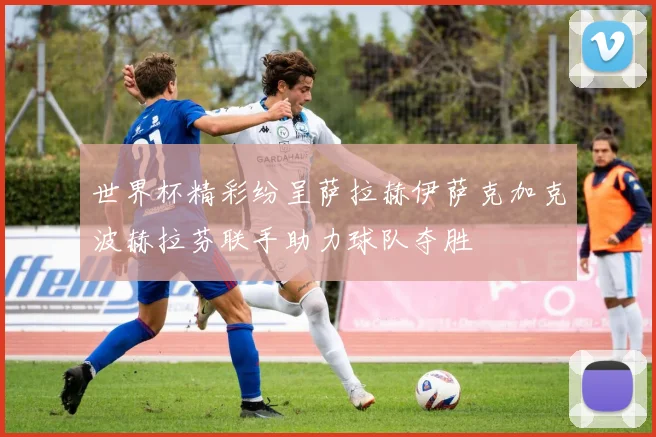 世界杯精彩纷呈萨拉赫伊萨克加克波赫拉芬联手助力球队夺胜