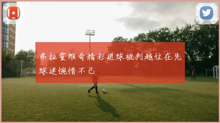 弗拉霍维奇精彩进球被判越位在先球迷惋惜不已