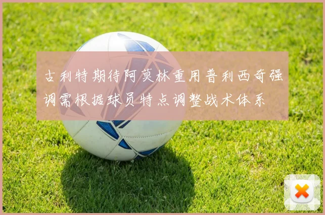 古利特期待阿莫林重用普利西奇强调需根据球员特点调整战术体系